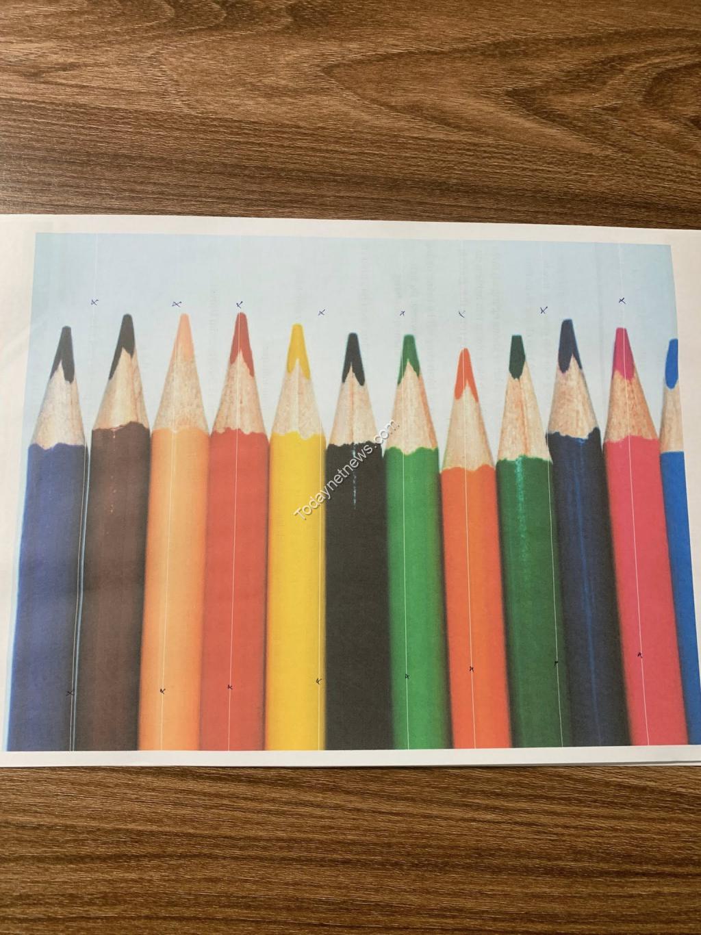 Canon PIXMA G1010 color inkjet printer has a striped printout error 1.jpg