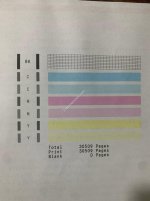 Canon PIXMA G1010 color inkjet printer has a striped printout error 2.jpg