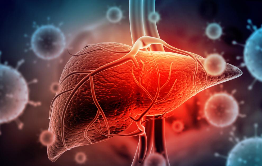 is hepatitis c contagious is hepatitis c transmitted through the respiratory tract 1