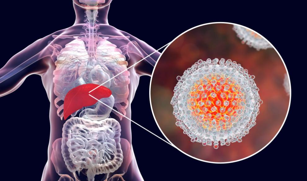 is hepatitis c contagious is hepatitis c transmitted through the respiratory tract 2