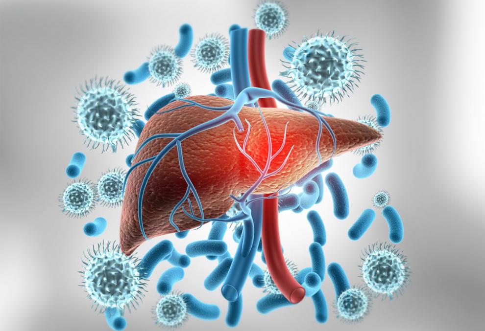 is hepatitis c contagious is hepatitis c transmitted through the respiratory tract 3