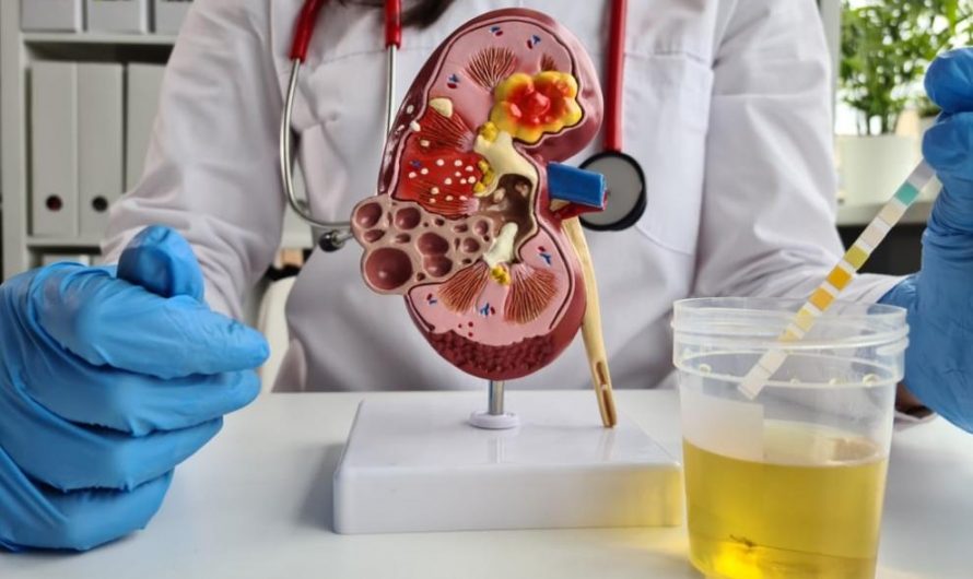 How dangerous is diabetic kidney disease?